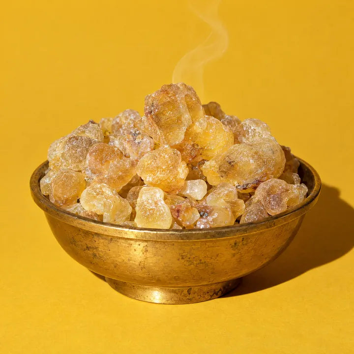 Óleo essencial de frankincense: foto do ingrediente